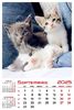 calendar-perete-2025-330x487-Pisici_Page_10