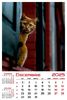 calendar-perete-2025-330x487-Pisici_Page_13