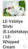 Poza net