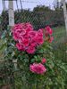 PXL_20250920_153452587