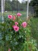 PXL_20250902_161638541