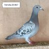 Femela 25-867