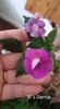 IMG-20251004-WA0063