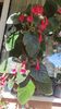 IMG-20250921-WA0042