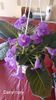 IMG-20250829-WA0044