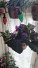 IMG-20250830-WA0044