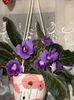 IMG-20250820-WA0000