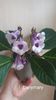 IMG-20251006-WA0013