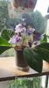 IMG-20251006-WA0006