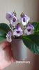 IMG-20251006-WA0014