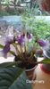 IMG-20251006-WA0019