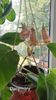 IMG-20250828-WA0069