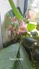 IMG-20250828-WA0065