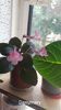 IMG-20251006-WA0005