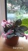 IMG-20251006-WA0020