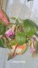 IMG-20250920-WA0035