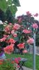 Messenger_creation_D155C43A-5026-4D1B-BA84-1D4B5E1481DB