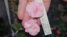 IMG-20251006-WA0078