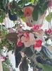 Messenger_creation_056C972F-DD03-4F4C-B2D6-3805C9B342DD