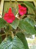 Messenger_creation_E672F6C7-1D53-43A4-B158-9454894BC515