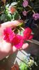 Messenger_creation_794E8106-F814-42C2-82EE-707A82510AD5