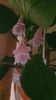 Messenger_creation_74476CFE-22E6-450A-8D10-5FAE30FF7E35