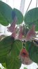 Messenger_creation_588F0000-D309-4775-9C13-83A3557AF64B