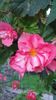 Messenger_creation_6C819E43-FB5F-4D85-A025-65E21D1B84F0