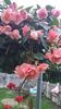 Messenger_creation_B064AA55-03BE-404C-AC73-78467E7742B1