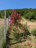 PXL_20250621_075858344