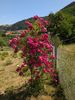 PXL_20250621_080251745