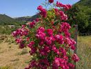 PXL_20250621_080257805