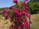 PXL_20250621_080306405