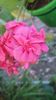 Messenger_creation_A60D30C4-E189-4A94-B42B-1E7C82492278