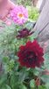 Messenger_creation_9A6702F5-BA9B-4843-8DFF-4501439E5A05