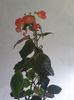Messenger_creation_02BF76B4-A455-4FD1-8900-2F7812821FC7