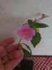 Messenger_creation_E045D469-CCDA-42B1-8C5E-9D2D368BD309