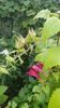 Messenger_creation_2F65D420-5A2E-4E59-8E67-531C955F9775