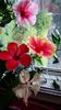 Messenger_creation_938289E3-7DB0-4C6A-A101-B4C4121B854F
