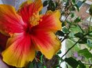 Messenger_creation_334DF618-BDB1-4F87-9004-E48AB268972A