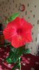 Messenger_creation_CD4A91DF-9D84-4102-86F3-6A21B41198BD