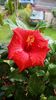 Messenger_creation_71628C66-CD73-483C-A319-974B7E781FEC