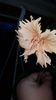 Messenger_creation_5BD2F7DF-41A5-43FD-AEF2-FAD3BA574401