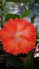 Messenger_creation_B8C2EFB6-915C-44D6-8194-9E7849199294