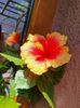 Messenger_creation_32F72C47-FFA9-4CA2-B907-050627C84670