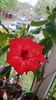 Messenger_creation_7BB065BA-A29F-440B-8CFB-91B883044466