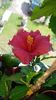 Messenger_creation_7049984F-7BF2-4F29-A143-BFFA303975DD