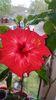 Messenger_creation_04A32EA5-CD11-49F1-BFA2-77E99B1FEC14