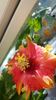 Messenger_creation_5FA96DB7-0241-4C84-8165-ED3D44041E05