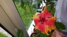 Messenger_creation_2C276518-AAE1-4369-BCF8-764333F4C9C0